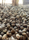 Organic Rabbit Manure | Natural Fertilizer for Cannabis