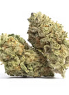 Spicy Mix Pack Cannabis Seeds | Feminized & Autoflower Varieties