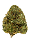 CBD Strawberry Kush | Feminized Cannabis Seeds | Balanced CBD:THC Hybrid