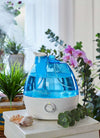 AquaOasis | Cool Mist Humidifier | Adjustable -360° Rotation Nozzle | Auto-Shut Off