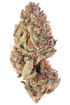 Tropicana Cookies Feminized Cannabis Seeds | Sweet Citrus Hybrid