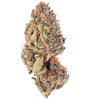 Tropicana Cookies Feminized Cannabis Seeds | Sweet Citrus Hybrid