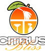Citrus Bliss Pack | 15 Feminized Cannabis Seeds