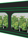 3X3 Grow Tent, 36