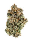 Autoflower CBD 15 Seeds Mix Pack