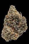 Bubblegum Popperz | Feminized  | Cannabis Seeds