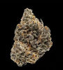 Bubblegum Popperz | Feminized  | Cannabis Seeds