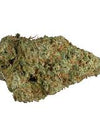 CBD | OG Kush | Feminized | Seeds