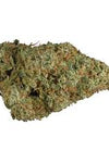 CBD | OG Kush | Feminized | Seeds