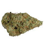 CBD | OG Kush | Feminized | Seeds