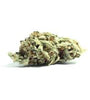 Pure Indica Feminized Seeds | Cannabis Seeds | 100% Indica