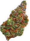 Banana Cream Pie | Feminized | Cannabis Seeds
