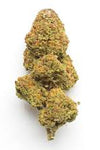 Lowryder | Autoflower | Cannabis Seeds