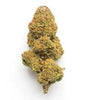 Lowryder | Autoflower | Cannabis Seeds