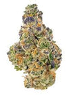 Animal Mintz | Hybrid | Cannabis Seeds