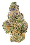 Animal Mintz | Hybrid | Cannabis Seeds