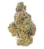 Animal Mintz | Hybrid | Cannabis Seeds