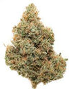 CBD | Critical Mass | Feminized | Seeds