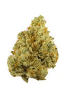 Sour Tangie Autoflower Cannabis Seeds | Fast Citrus-Diesel Hybrid