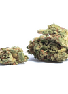 Blue Frost OG | Feminized  | Cannabis Seeds