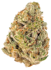 Triangle Kush Feminized Cannabis Seeds | Potent Indica Hybrid