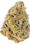 Triangle Kush Feminized Cannabis Seeds | Potent Indica Hybrid