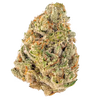 Triangle Kush Feminized Cannabis Seeds | Potent Indica Hybrid