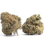 Cherry Runtz Feminized Cannabis Seeds | Sweet Exotic Hybrid