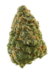Mazar x Blueberry | Feminized | Cannabis Seeds