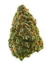 Mazar x Blueberry Feminized Cannabis Seeds | Potent Indica Hybrid