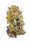 Purple Runtz Feminized Cannabis Seeds | Exotic Sweet Indica Hybrid