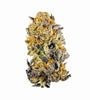 Purple Runtz Feminized Cannabis Seeds | Exotic Sweet Indica Hybrid