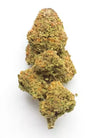 UK Cheese Feminized Cannabis Seeds | Classic Skunky Strain