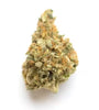 Rainbow Runtz Feminized Cannabis Seeds | Sweet Exotic Hybrid Strain