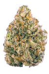 Obama Runtz Feminized Cannabis Seeds | Potent Hybrid Strain