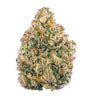Obama Runtz Feminized Cannabis Seeds | Potent Hybrid Strain
