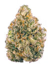 Obama Runtz Feminized Cannabis Seeds | Potent Hybrid Strain