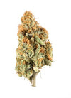 CBD Kush | Autoflowering
