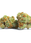 Jillybean | Feminized |Cannabis Seeds
