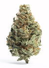 Legend OG | Feminized | Cannabis Seeds