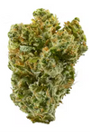 Super Silver Haze Autoflower Cannabis Seeds | Fast-Growing Sativa Hybrid