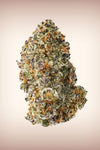 Purple Punch | Feminized | Cannabis Seeds