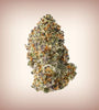 Purple Punch | Feminized | Cannabis Seeds